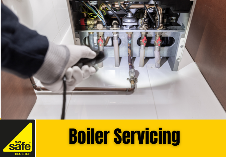 boiler service Hempstead