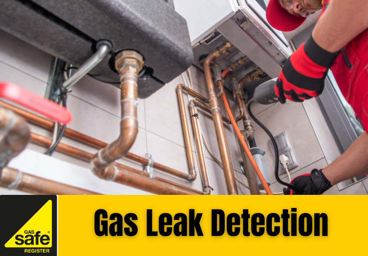 gas leak detection Hempstead